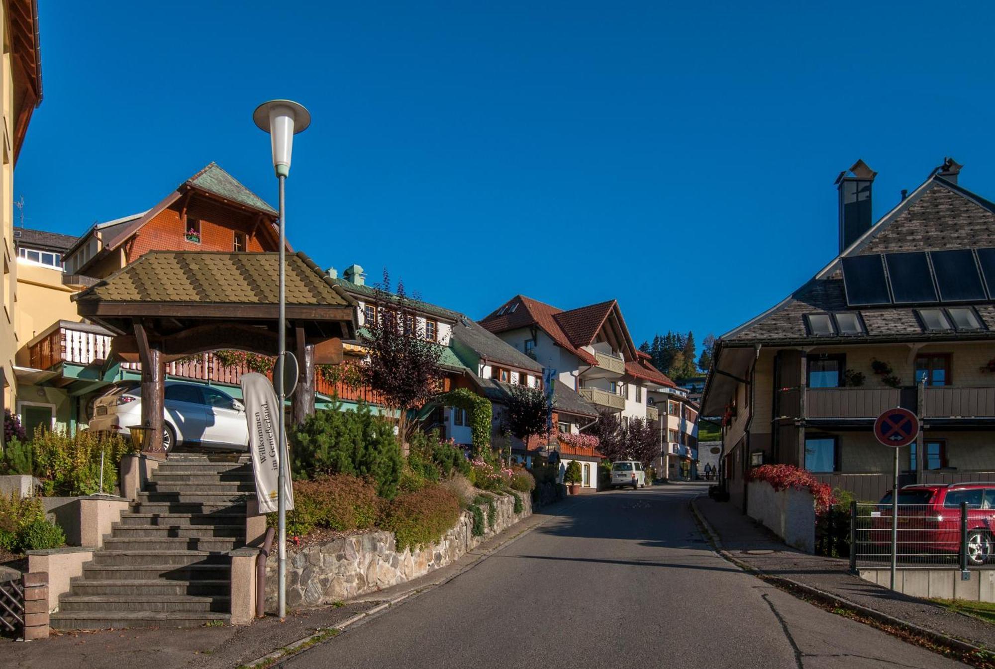 Apartment 06 - Ferienresidenz Roseneck, 2 Schlafzimmer, Mit Schwimmbad In Todtnauberg Bei Feldberg Luaran gambar