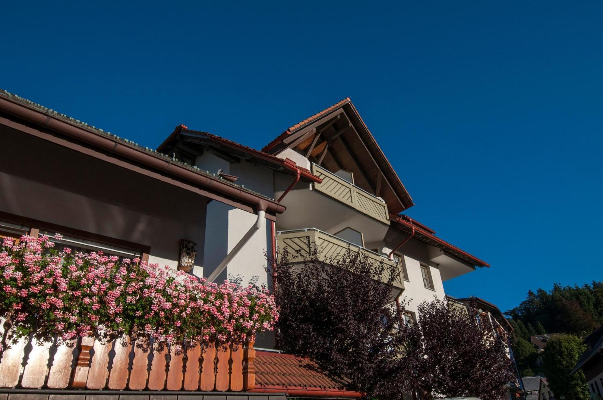 Apartment 06 - Ferienresidenz Roseneck, 2 Schlafzimmer, Mit Schwimmbad In Todtnauberg Bei Feldberg Luaran gambar